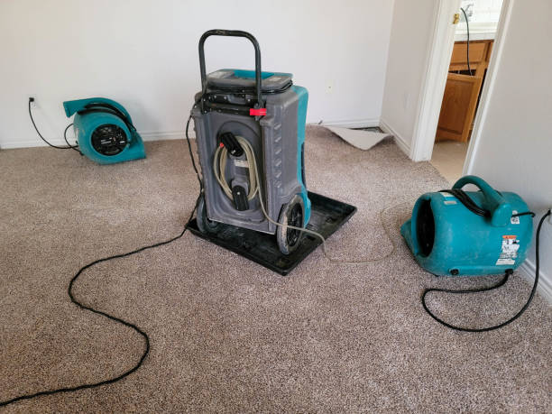 Best Water damage cleanup near me  in Fair Lawn, NJ