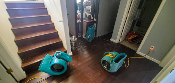 Best Water damage restoration services  in Fair Lawn, NJ