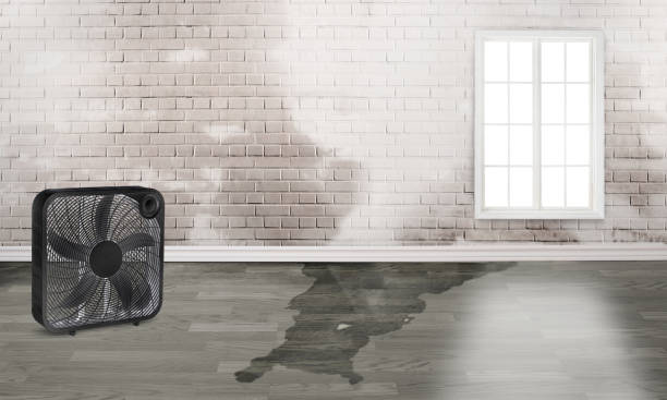 Best Flood damage cleanup  in Fair Lawn, NJ
