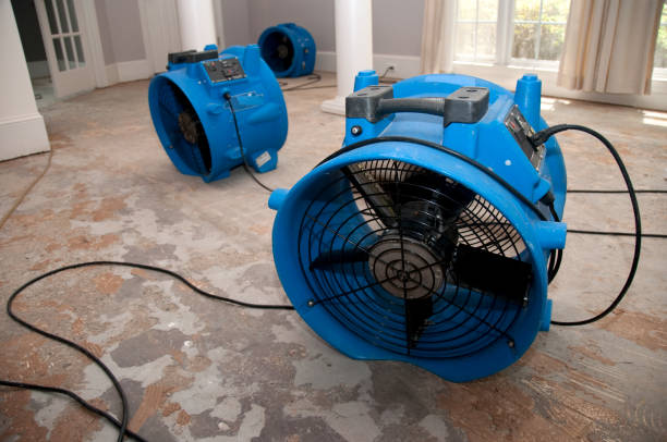 Best Professional water damage repair  in Fair Lawn, NJ