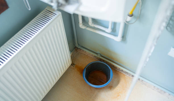 Best Flood damage cleanup  in Fair Lawn, NJ
