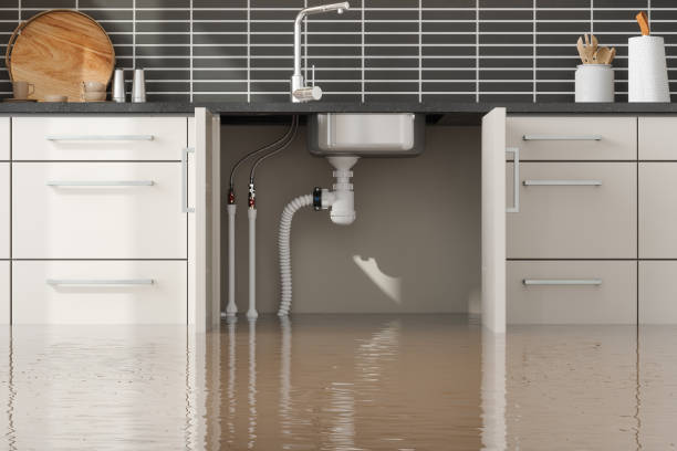 Best Water damage restoration services  in Fair Lawn, NJ