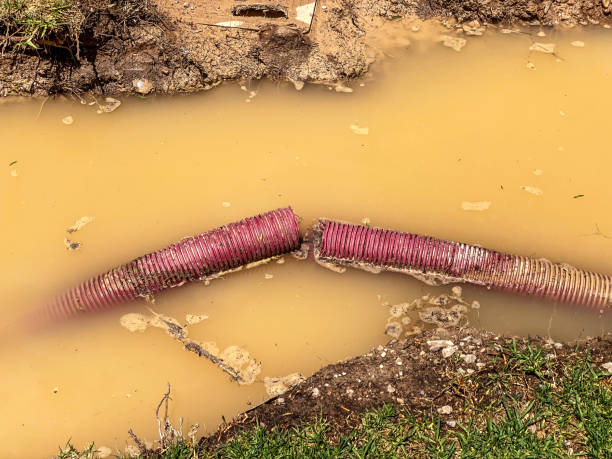 Best Residential water damage restoration  in Fair Lawn, NJ