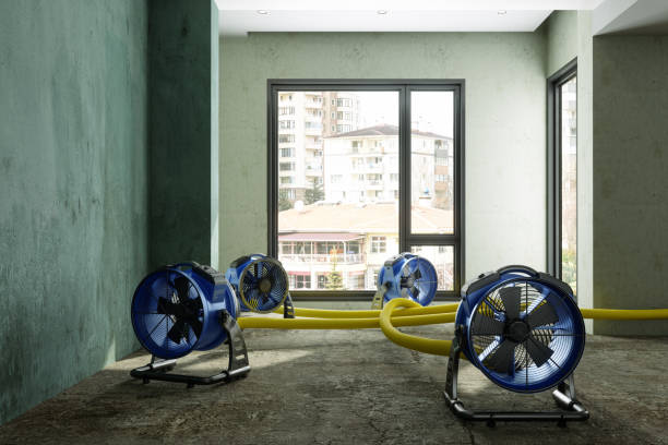 Best Mold removal after water damage  in Fair Lawn, NJ