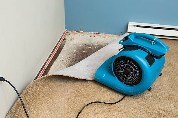 Best Ceiling water damage repair  in Fair Lawn, NJ